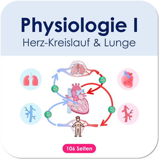 Physiologie-Skripte: einfach verständlich, viele Abbildungen, kompakt 💡