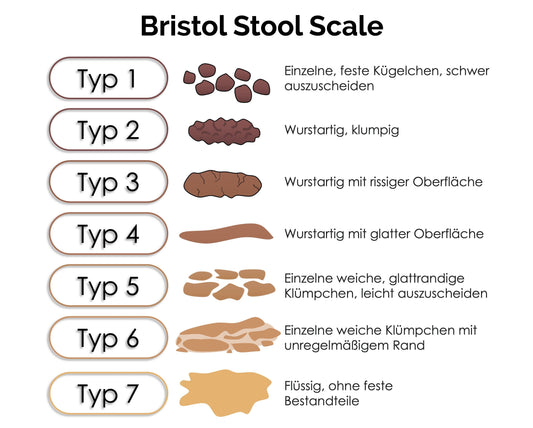 Bristol Stool Scale: Stuhlgang objektiv beurteilen 💩