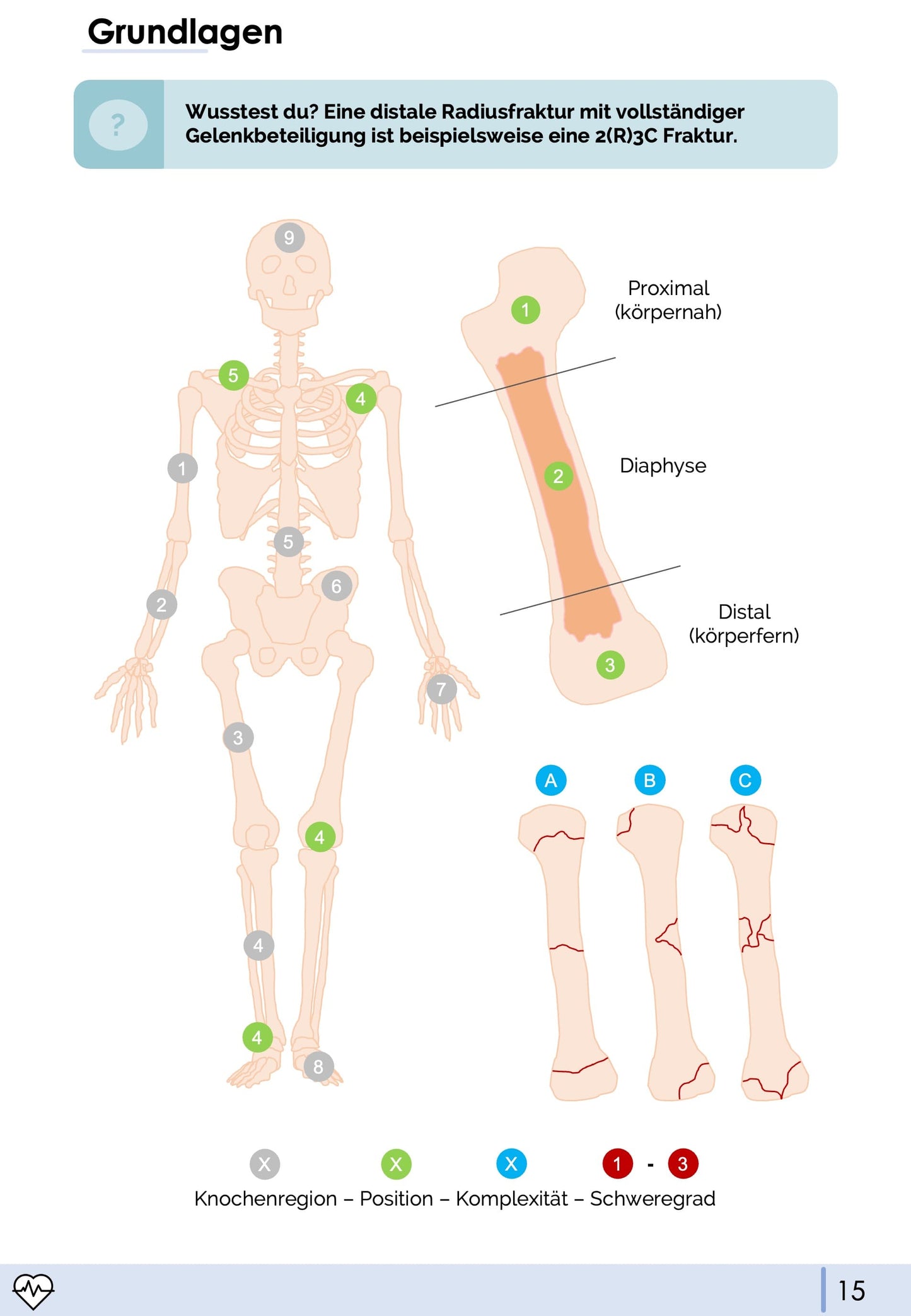 Unfallchirurgie und Orthopädie-Skript - Medi Know
