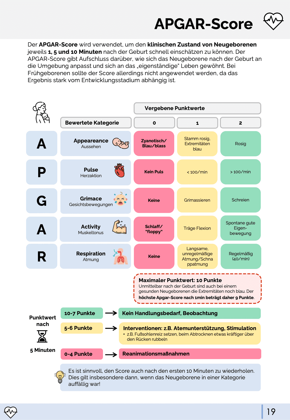 Schemata & Scores - Rettungsdienst & Klinik - Medi Know