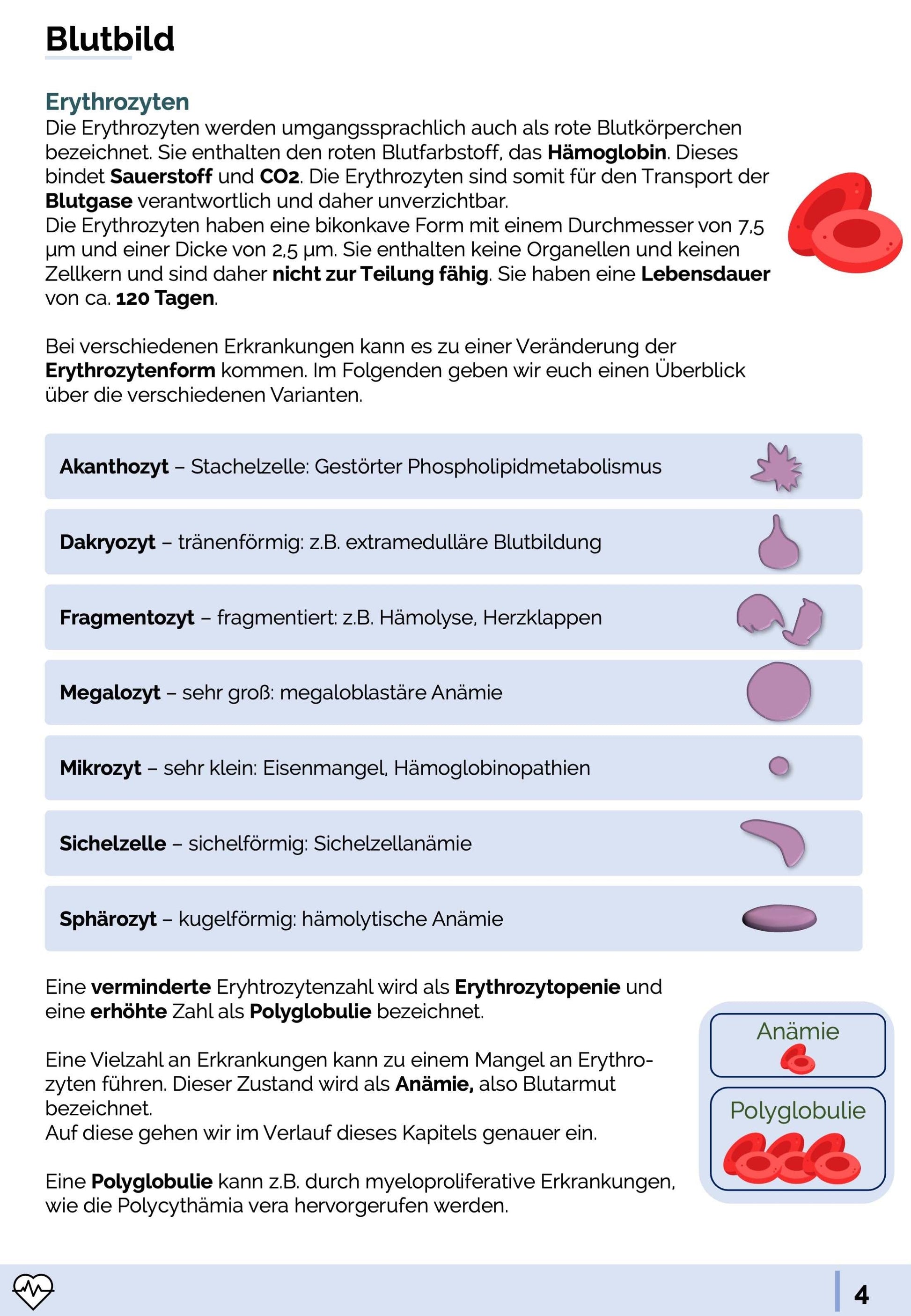 Labormedizin-Skript