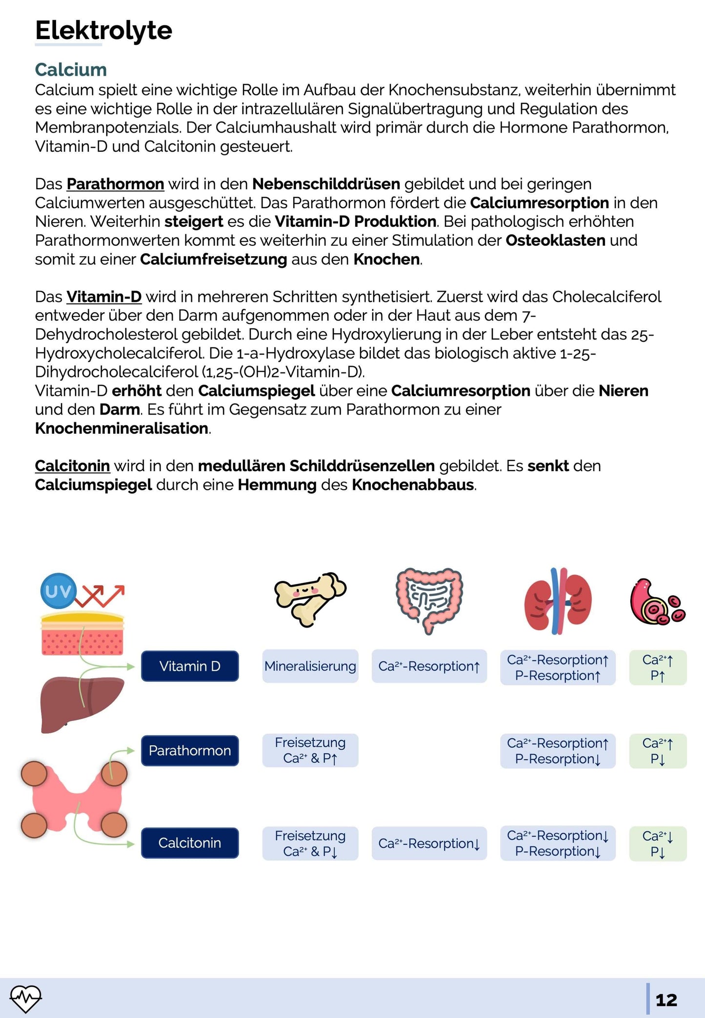 Labormedizin-Skript
