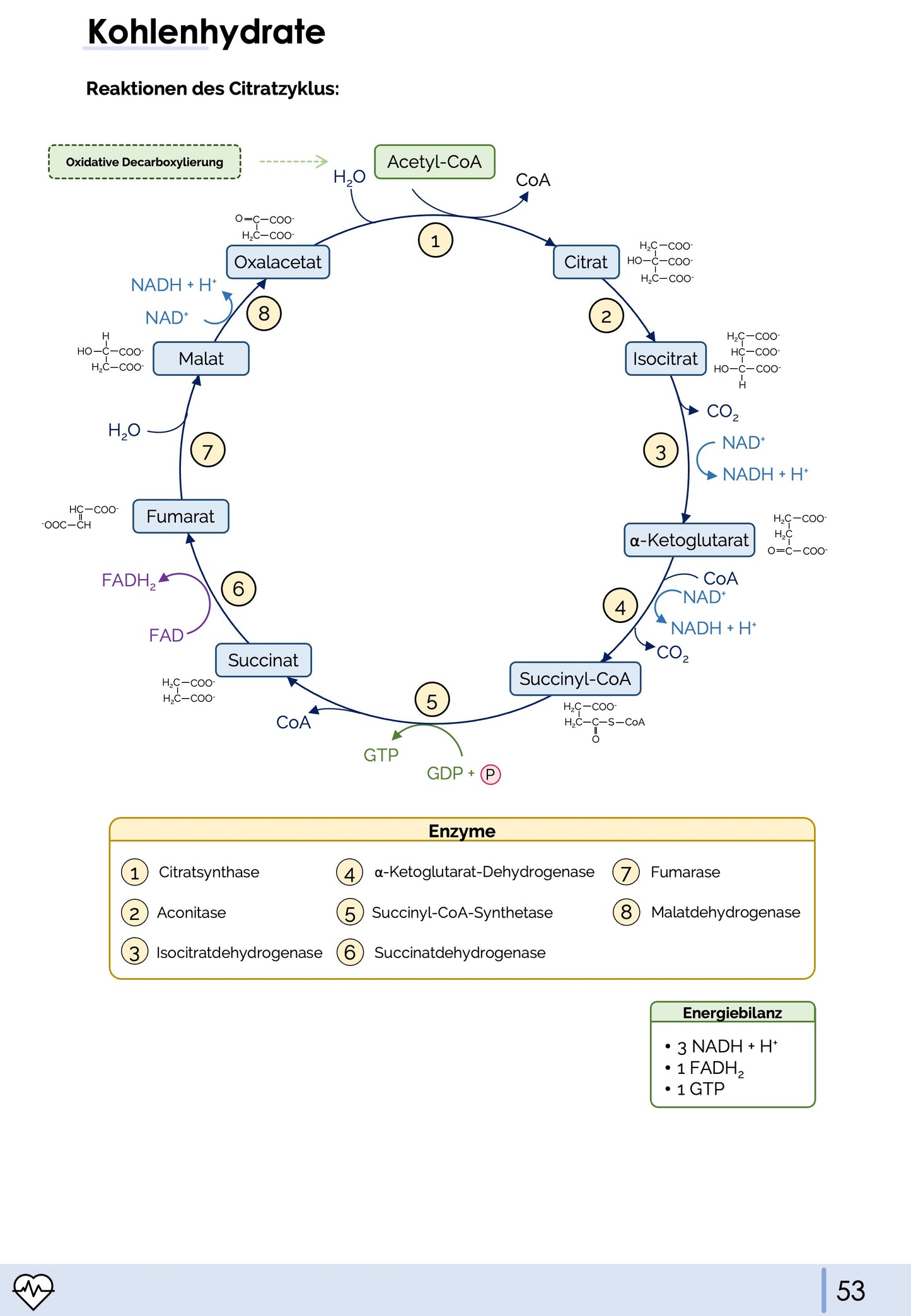 Biochemie-Skript Teil 1