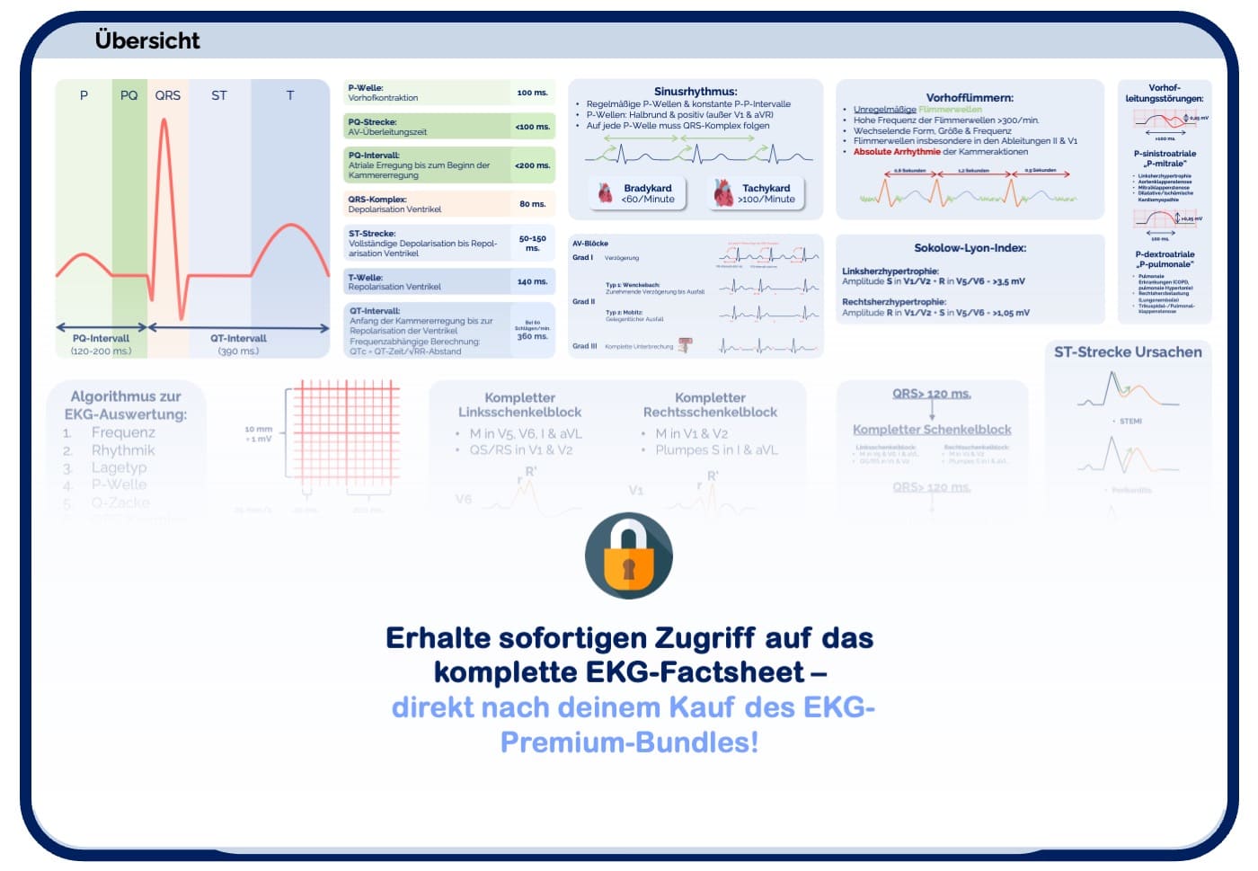 EKG-Premium-Bundle (33% off)