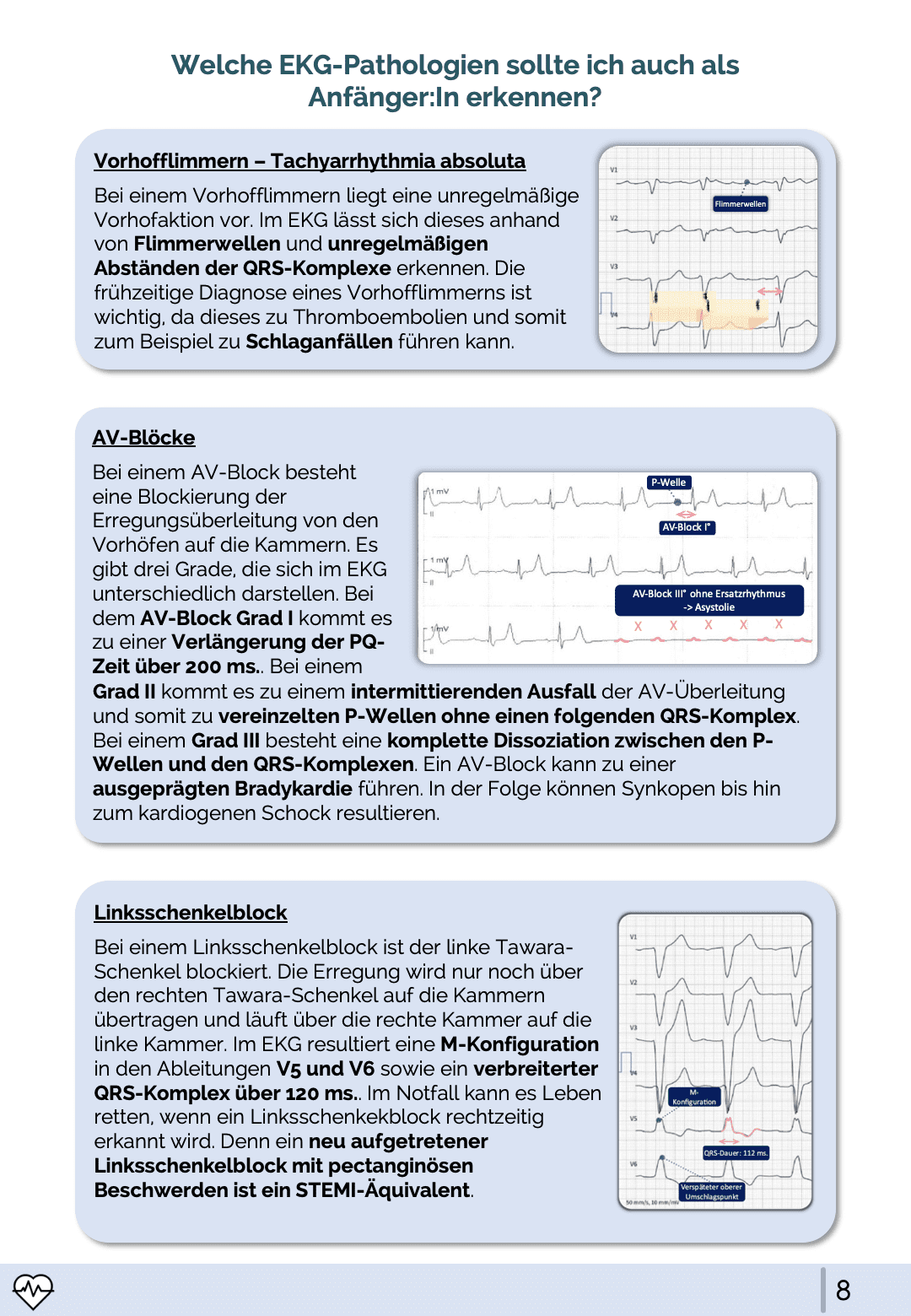 EKG-Leitfaden - Medi Know