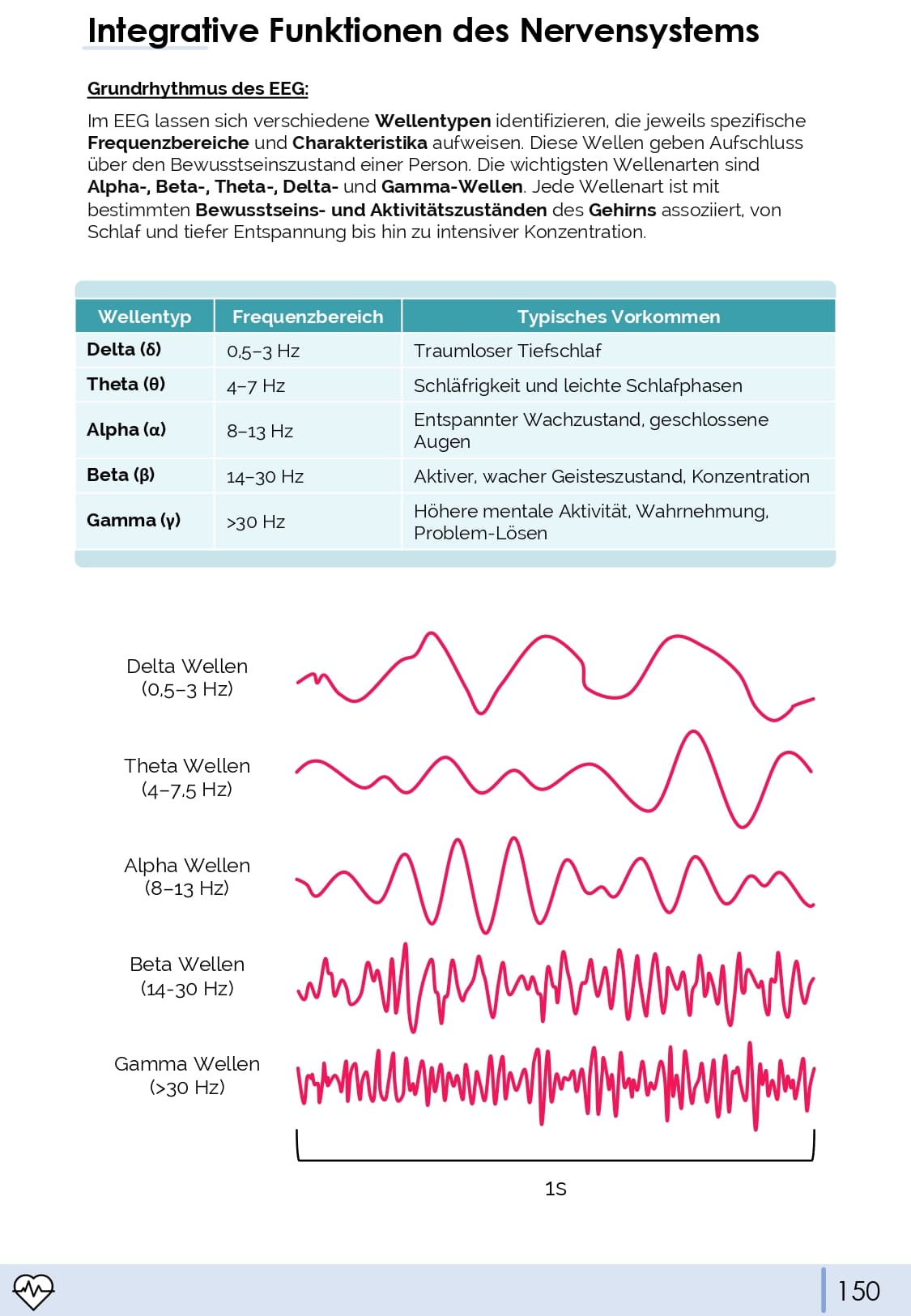 Physiologie-Skript Teil 3