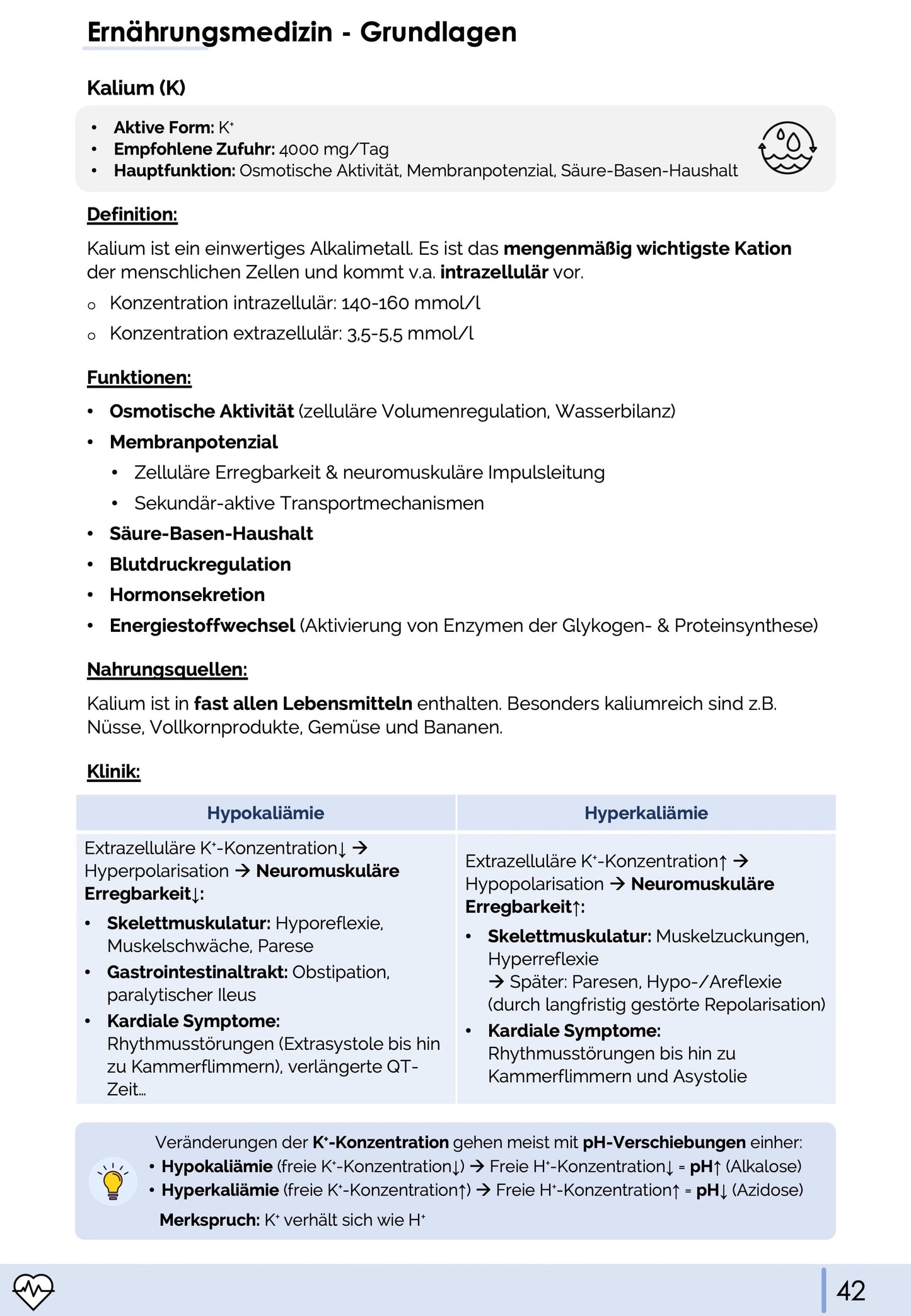 Ernährungsmedizin-Skript