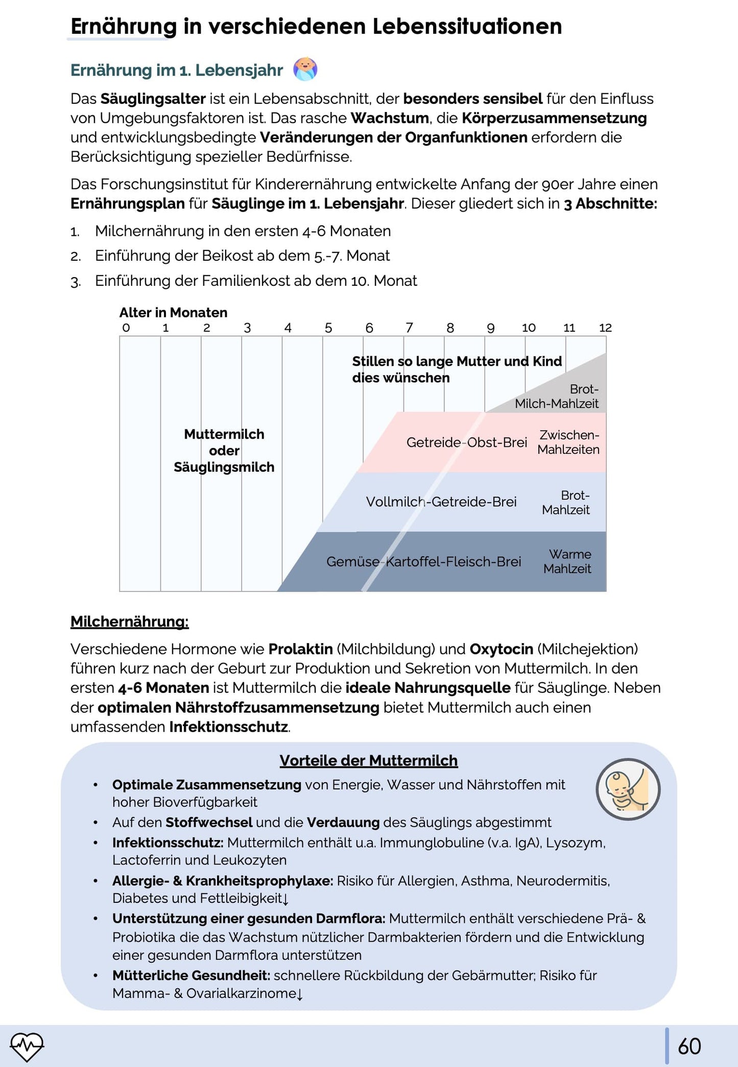 Ernährungsmedizin-Skript