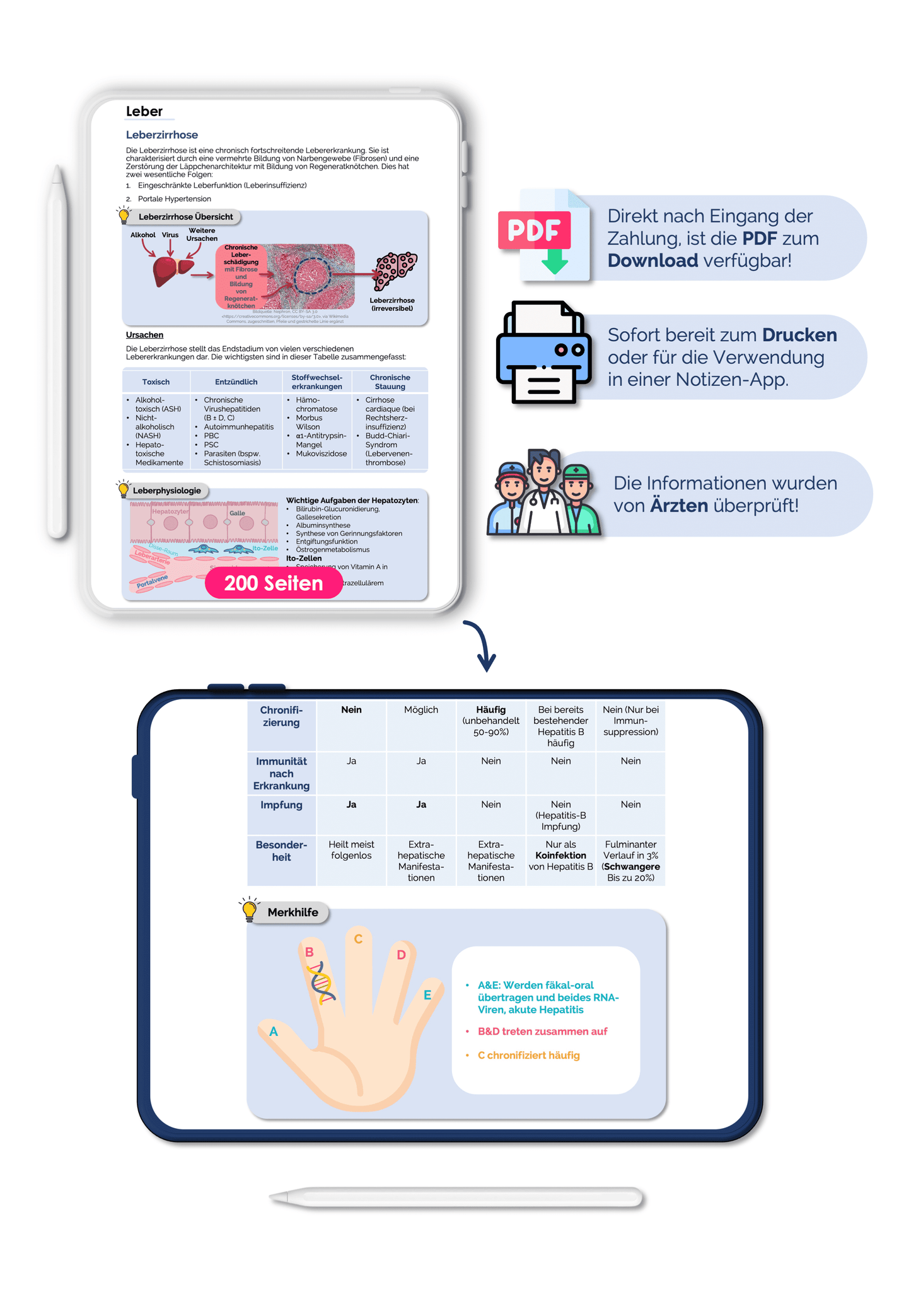 Gastroenterologie-Skript - Medi Know