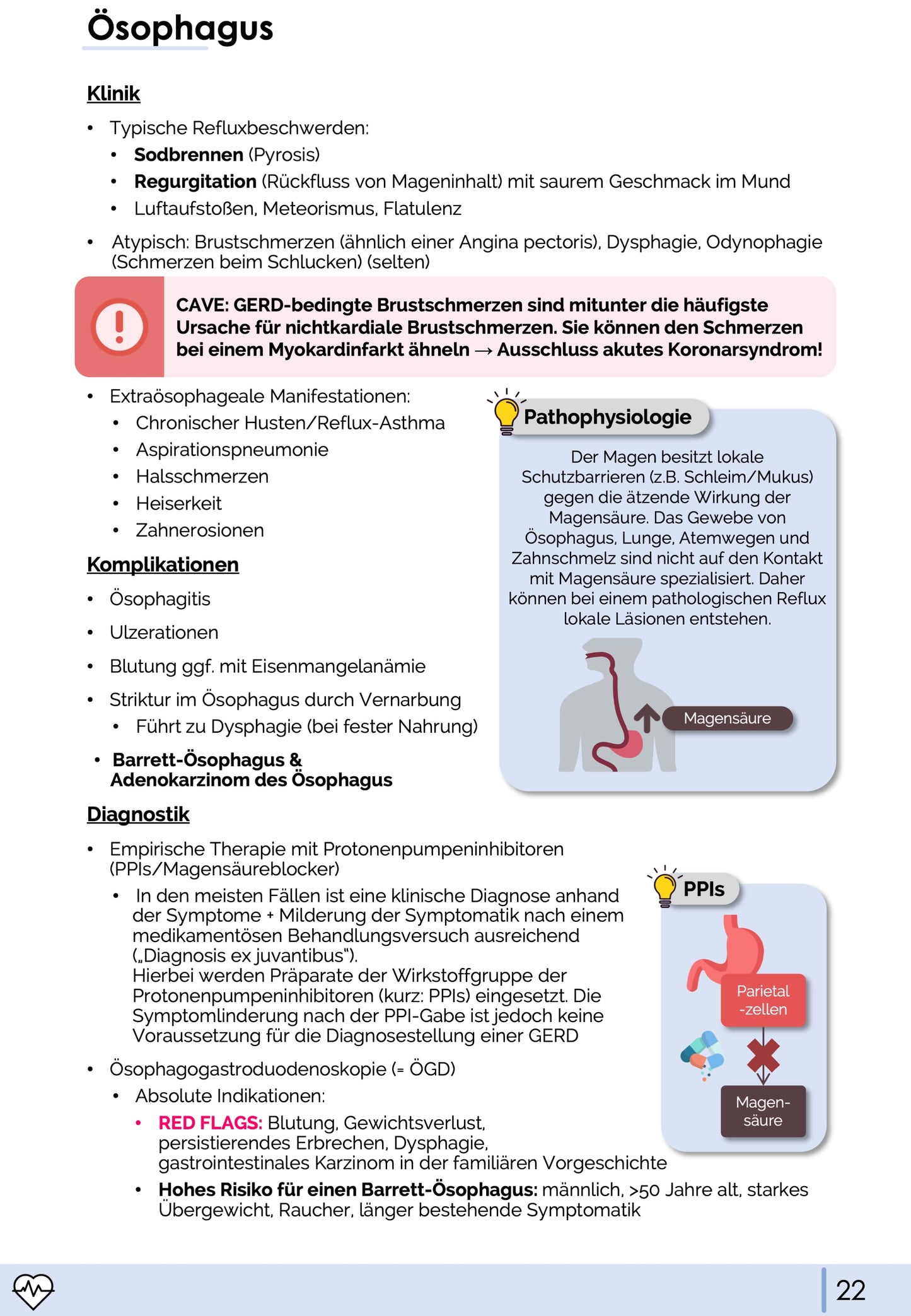 Gastroenterologie-Skript - Medi Know