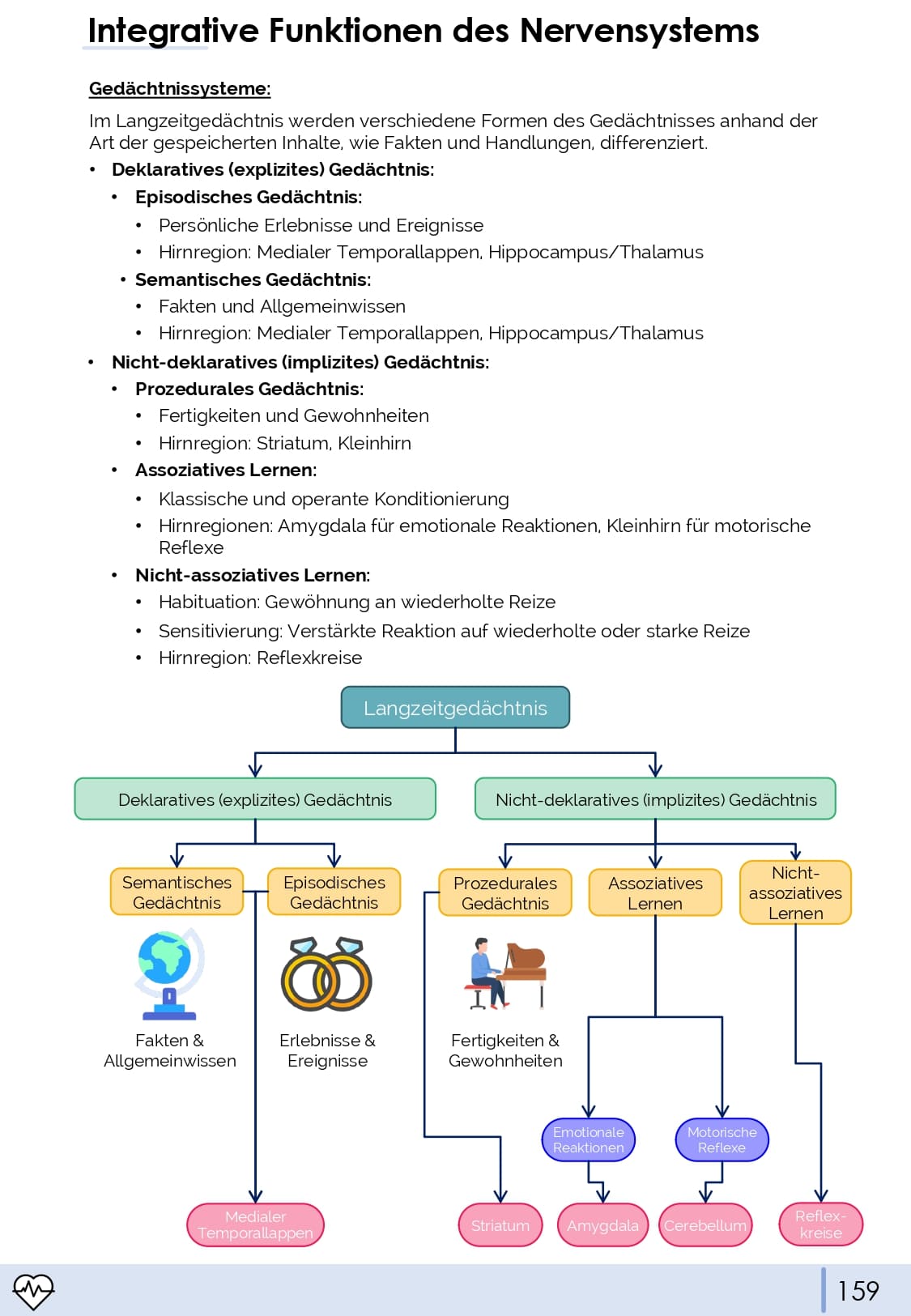 Physiologie-Skript Teil 3