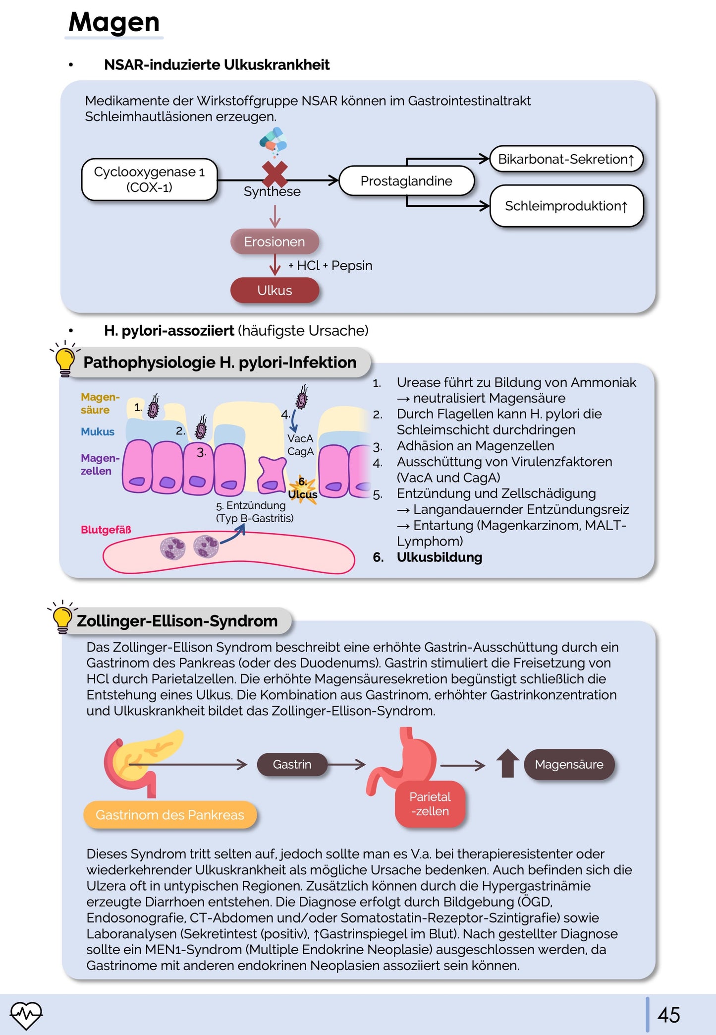 Gastroenterologie-Skript - Medi Know