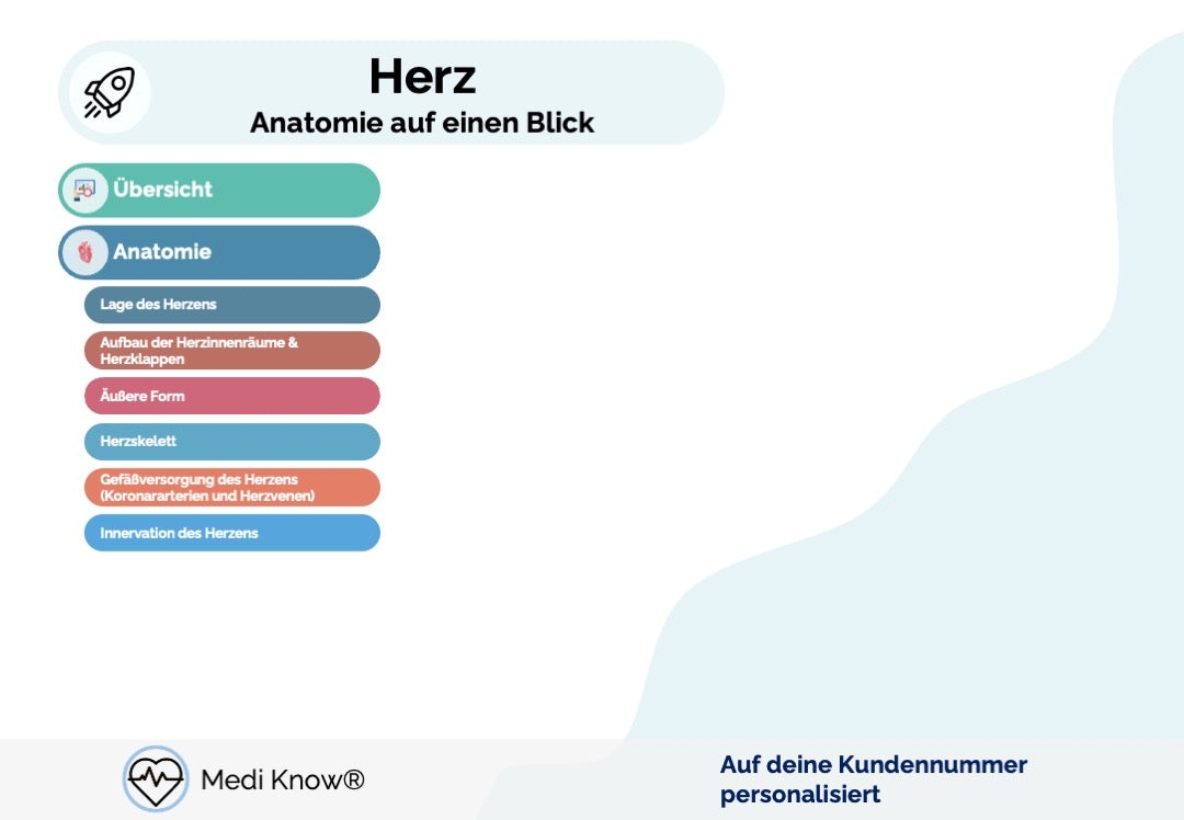 Herz (Anatomie) - Lernkarten