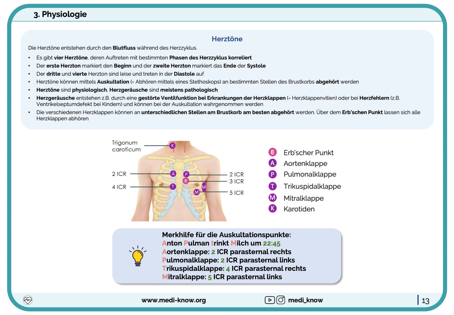 Lernkarten - Herz (Anatomie & Physiologie) - Medi Know
