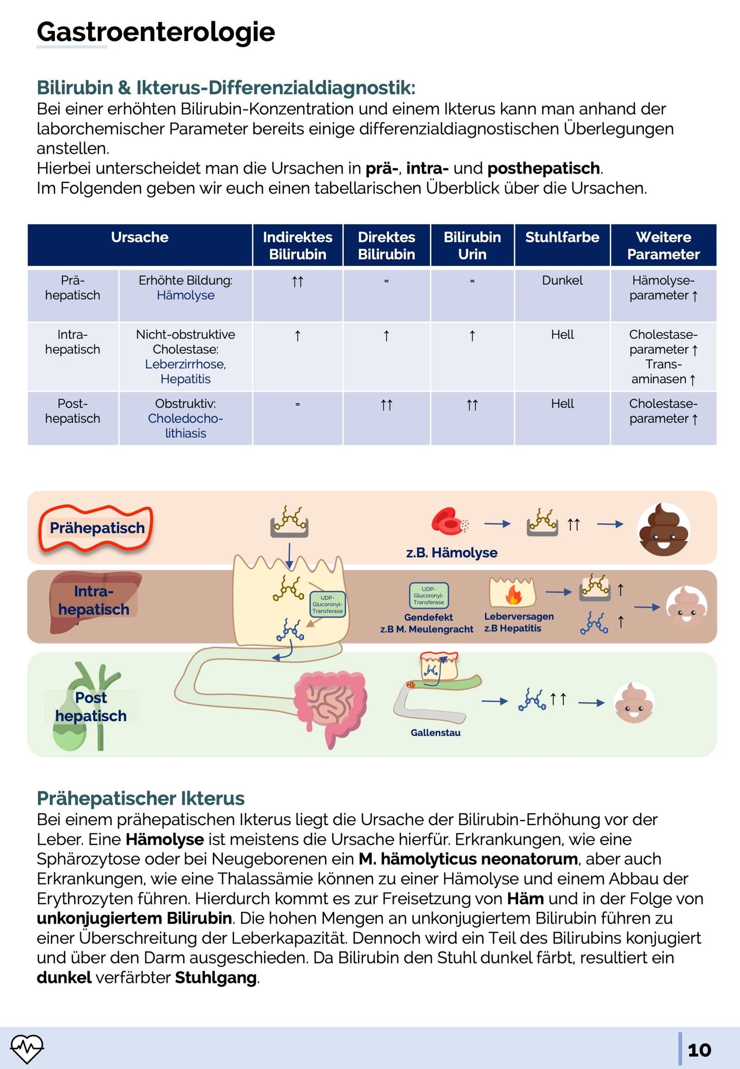 Labormedizin-Skript