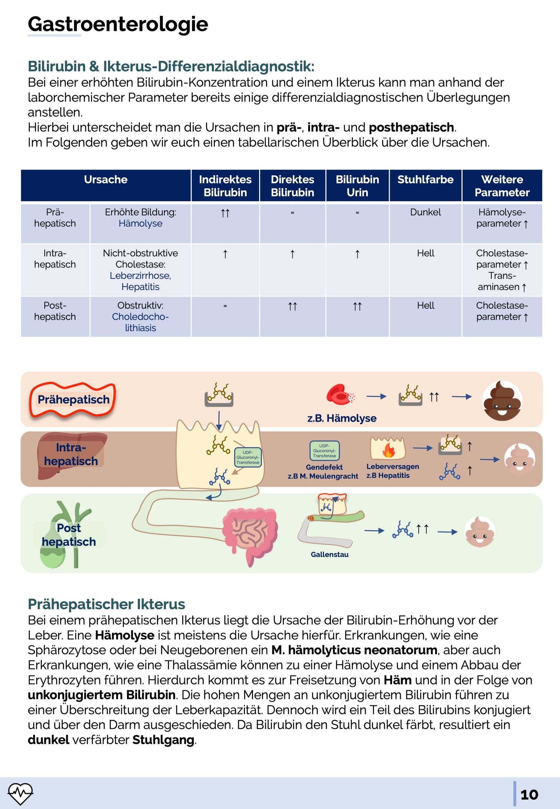 Labormedizin-Skript