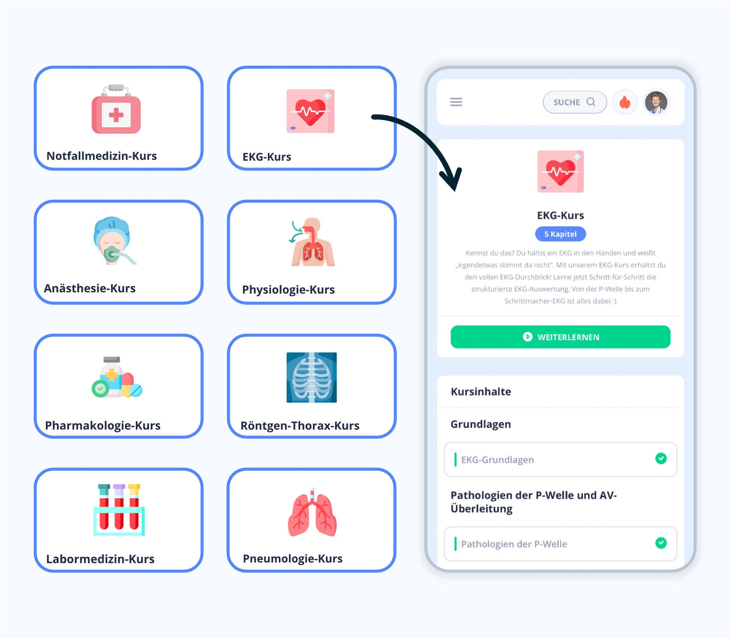 Medi Know Lernplattform - Informationen