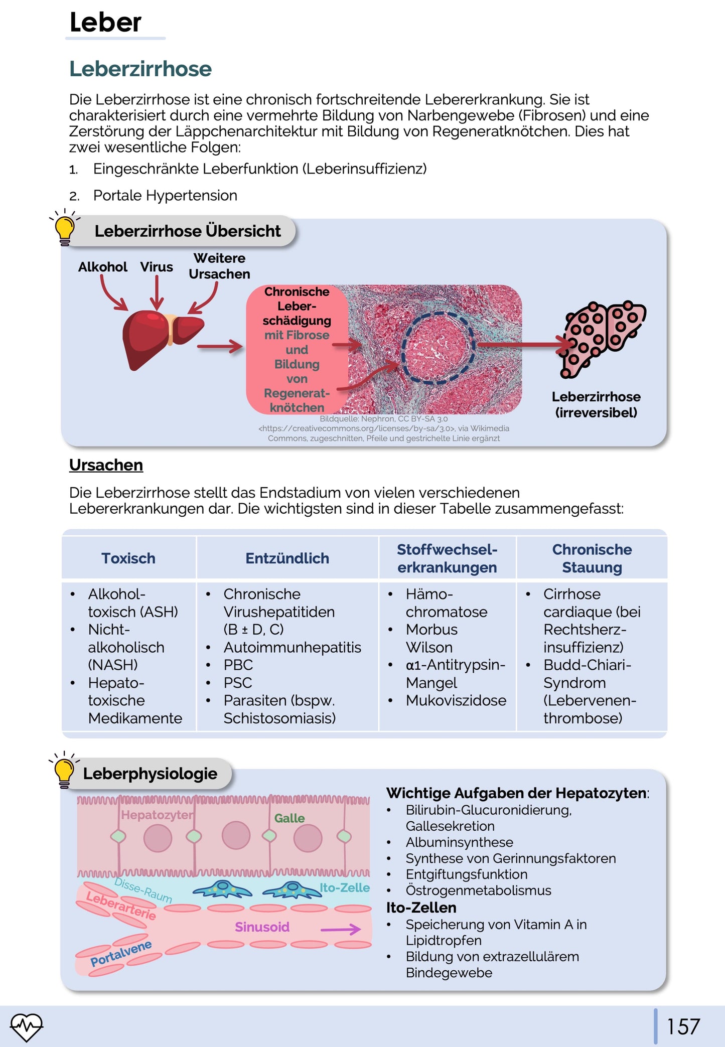 Gastroenterologie-Skript - Medi Know