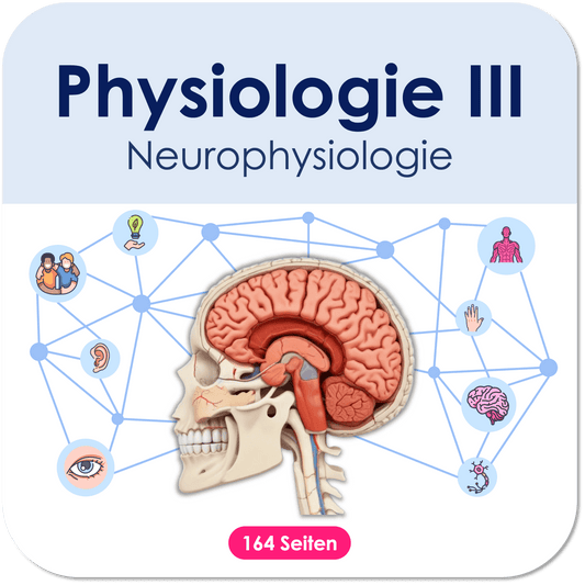 Physiologie-Skript Teil 3