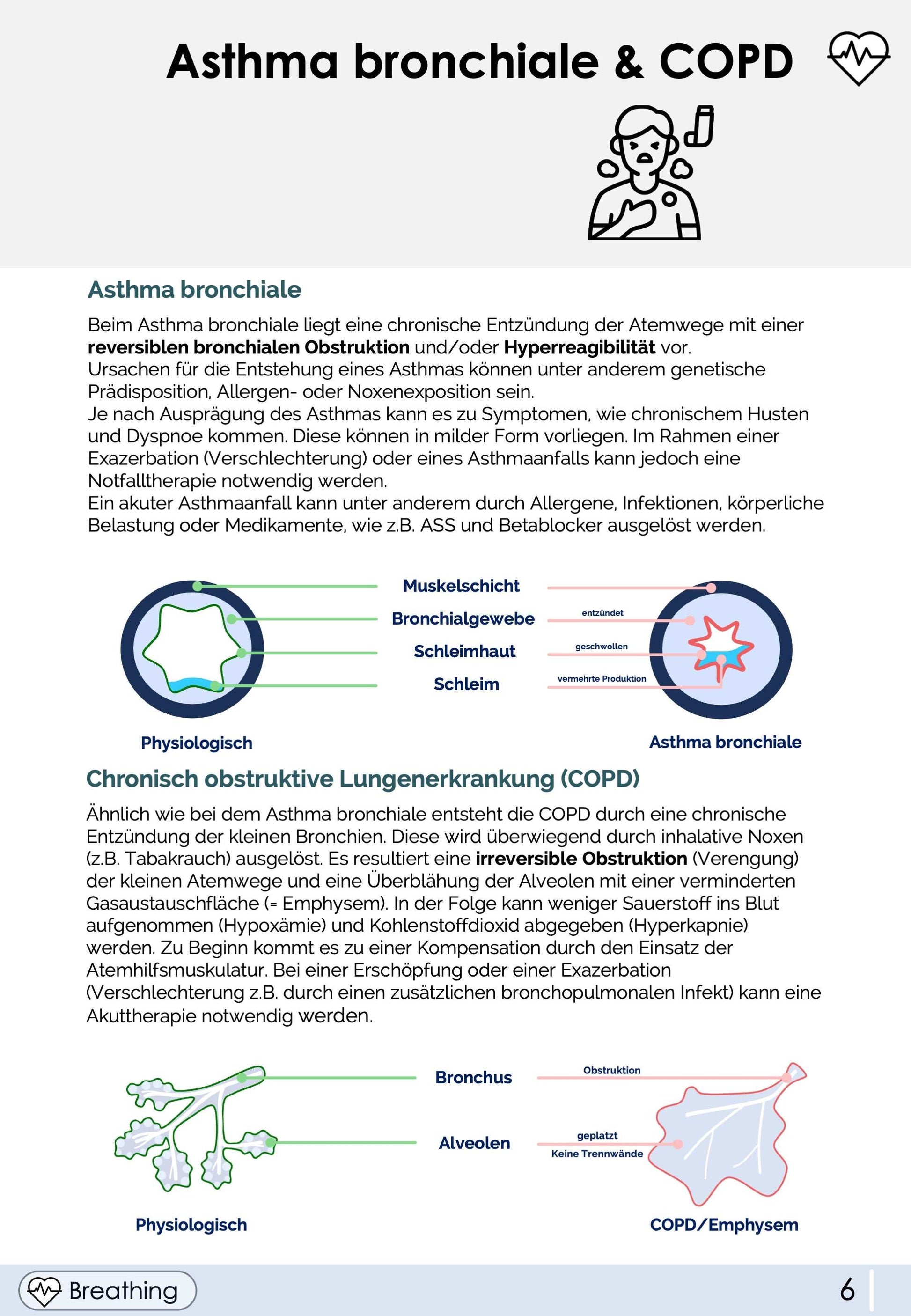 Notfallmedizin-Skript