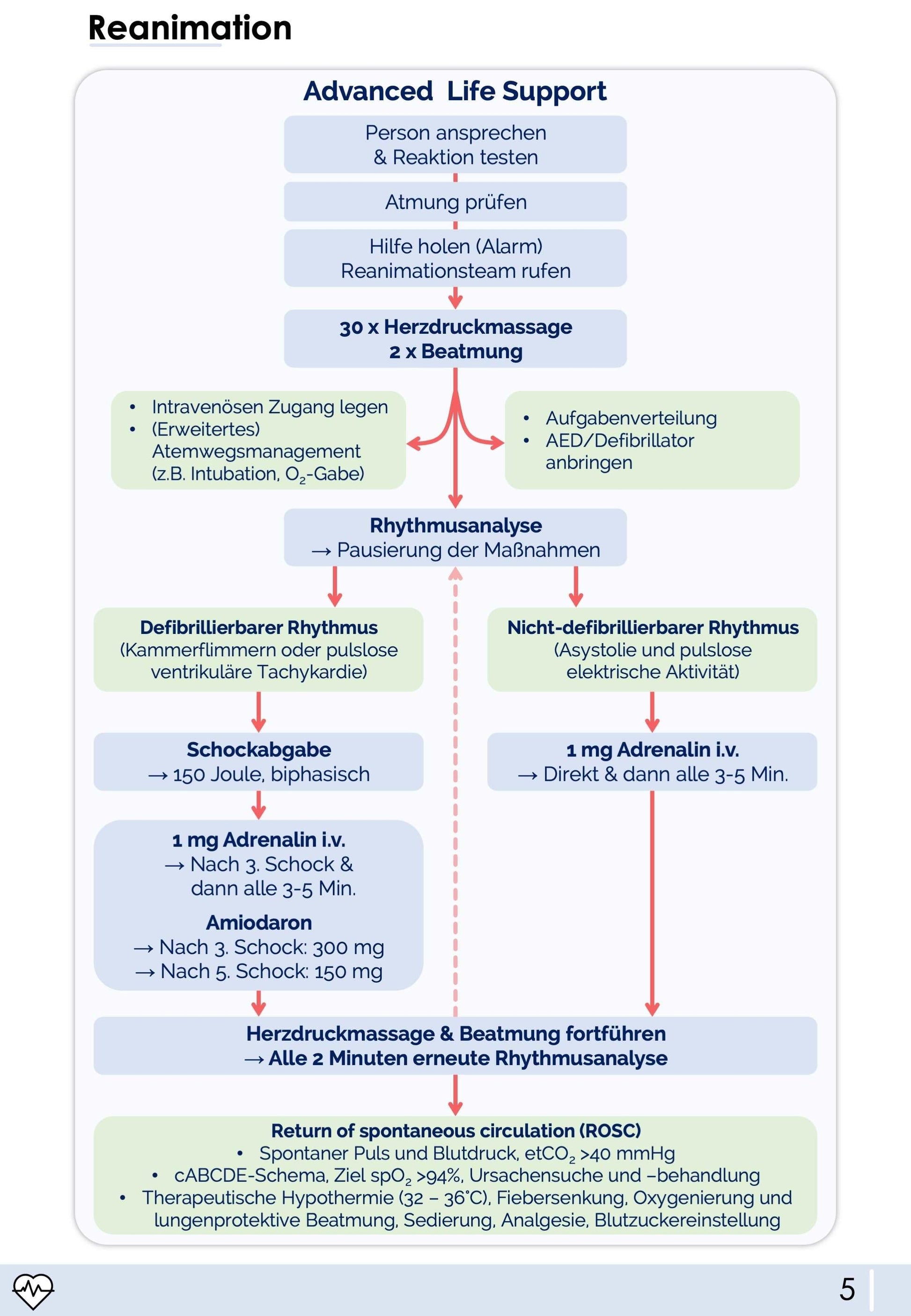Notfallmedizin-Skript