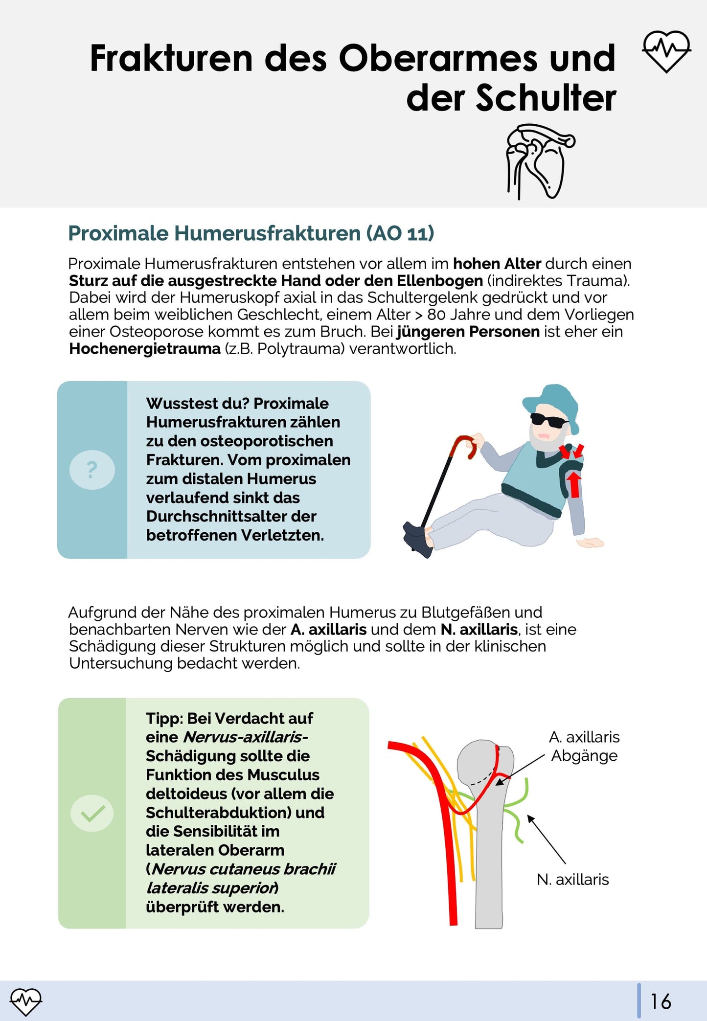 Unfallchirurgie und Orthopädie-Skript - Medi Know