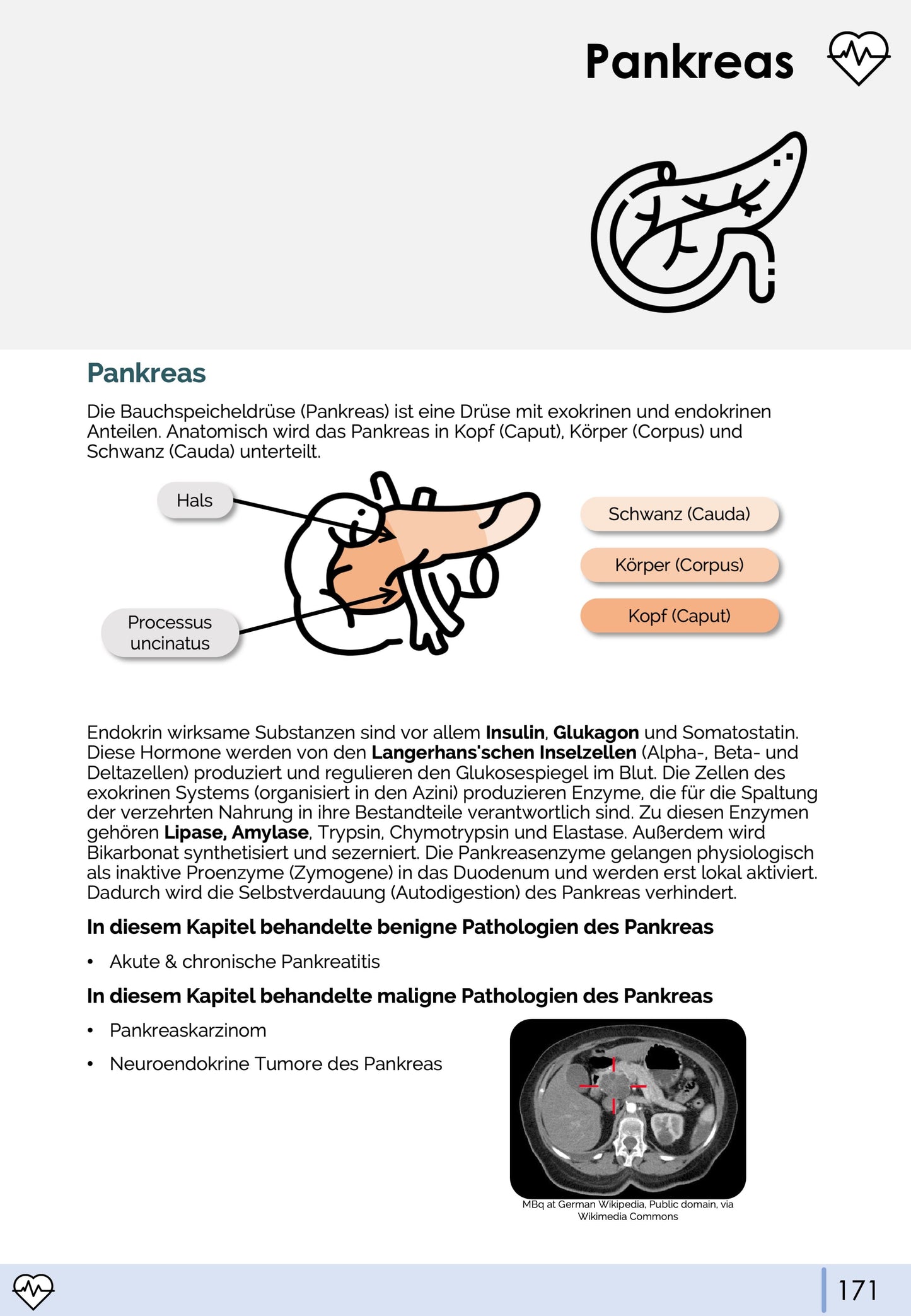 Gastroenterologie-Skript - Medi Know