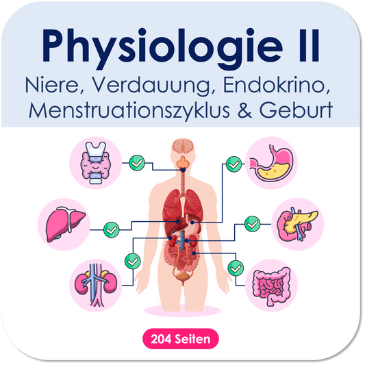 Physiologie-Skript Teil 2