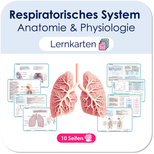 Lernkarten respiratorisches System (Anatomie & Physiologie) - Medi Know