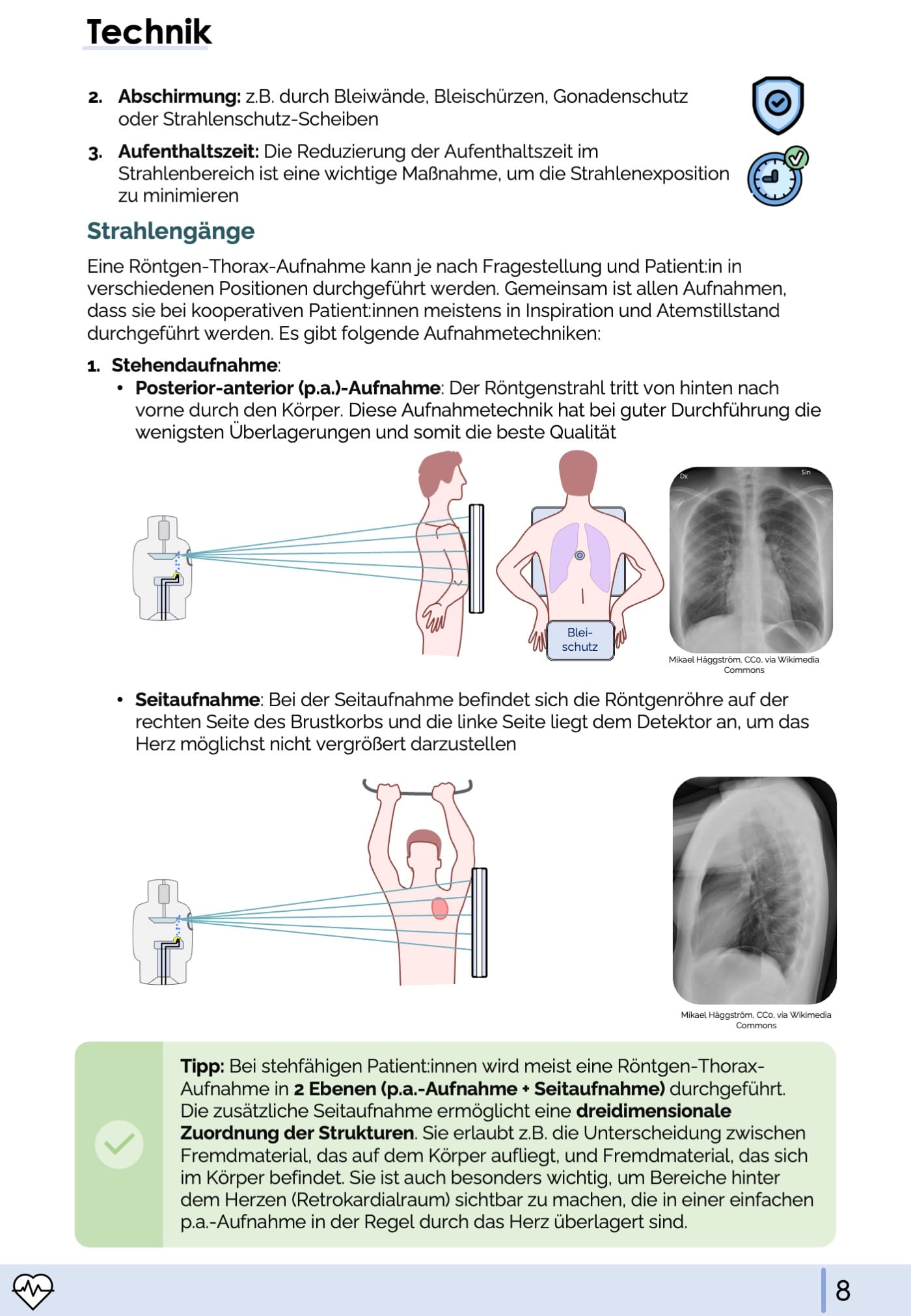 Röntgen-Thorax-Skript
