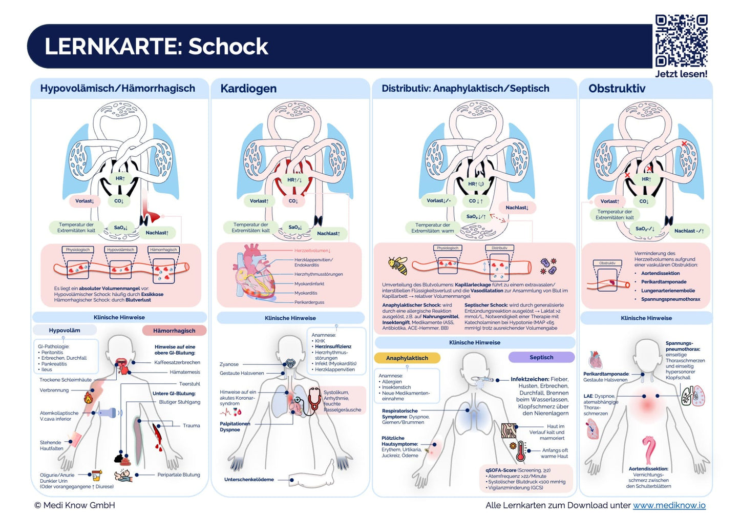 TOP 60 Lernkarten - Krankheitsbilder auf einen Blick