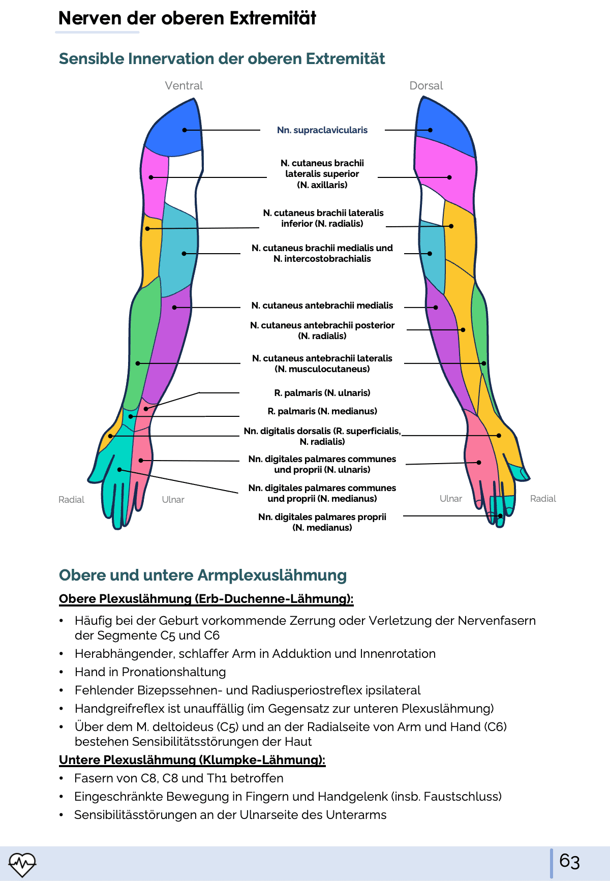 I. Anatomie - Allgemeine Anatomie und Bewegungsapparat - Medi Know