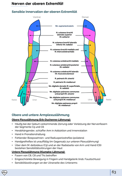 I. Anatomie - Allgemeine Anatomie und Bewegungsapparat - Medi Know