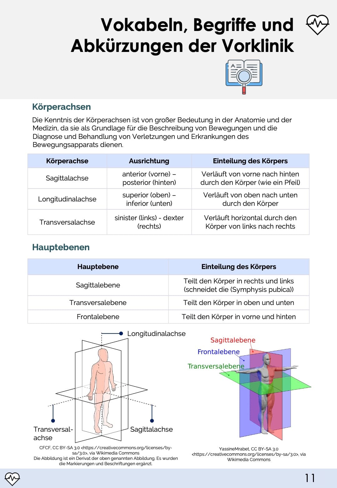 Terminologie-Skript - Medi Know