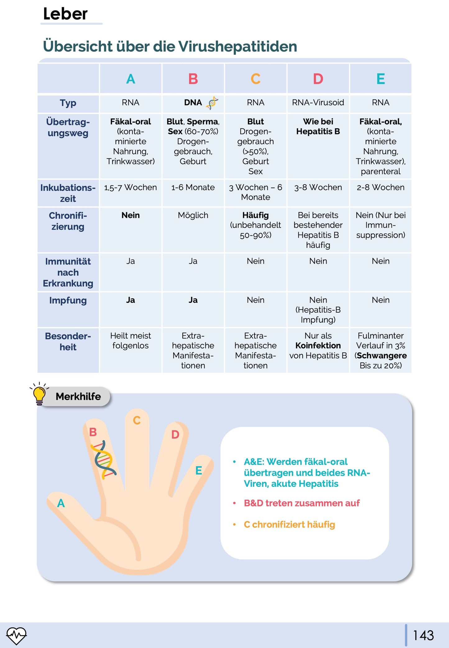 Gastroenterologie-Skript - Medi Know