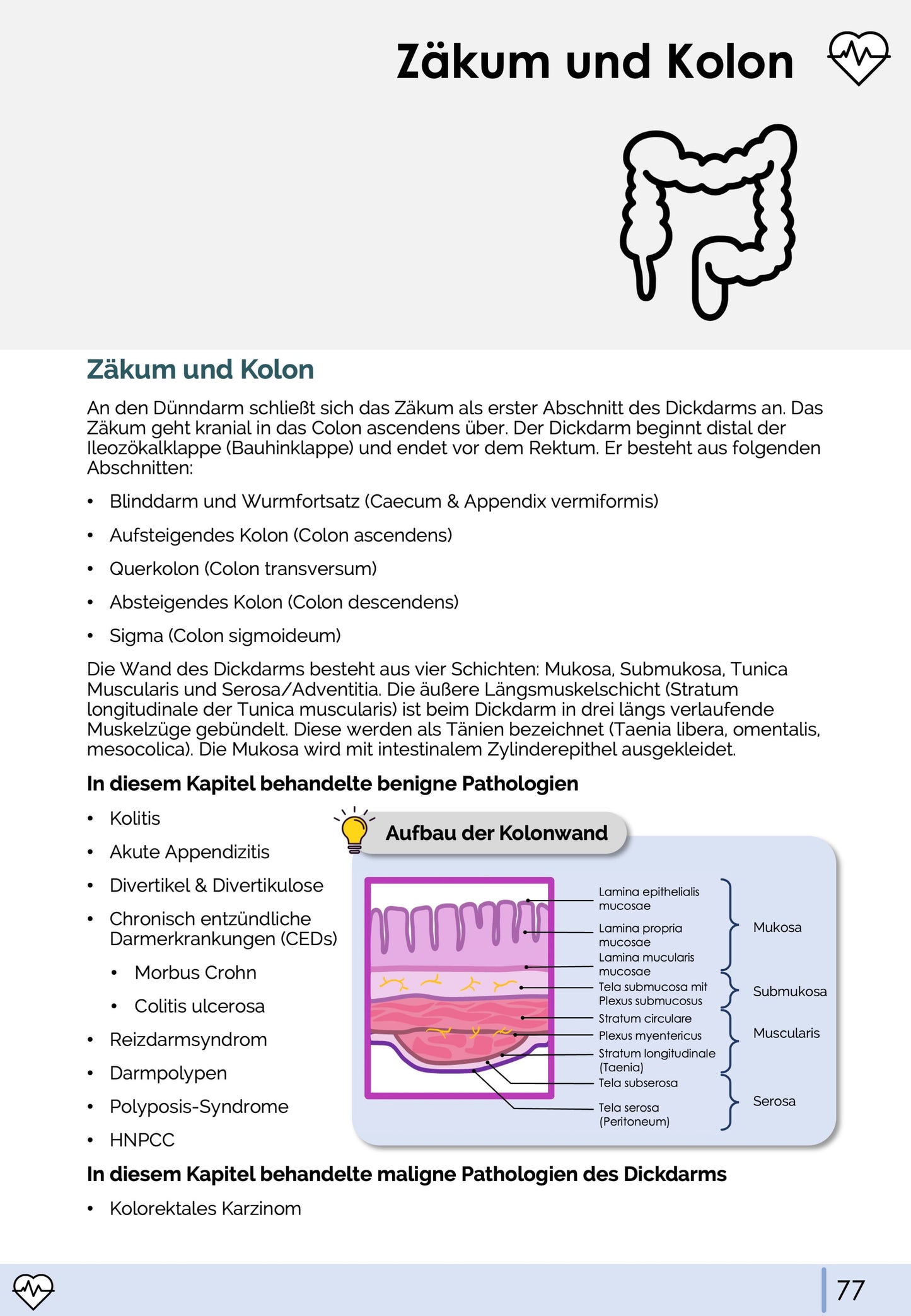 Gastroenterologie-Skript - Medi Know