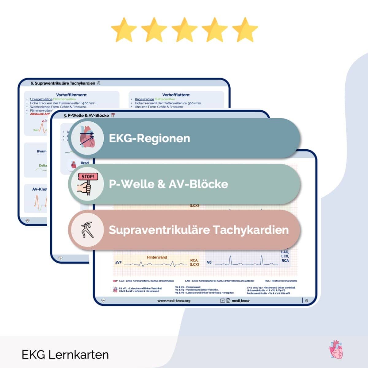 EKG-Lernkarten Übersichten Medi Know