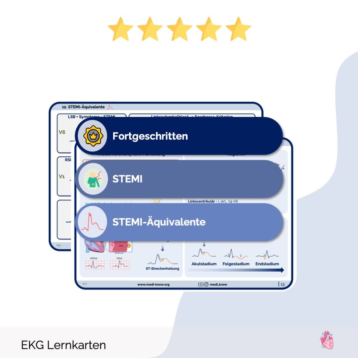 EKG-Lernkarten Übersichten Medi Know