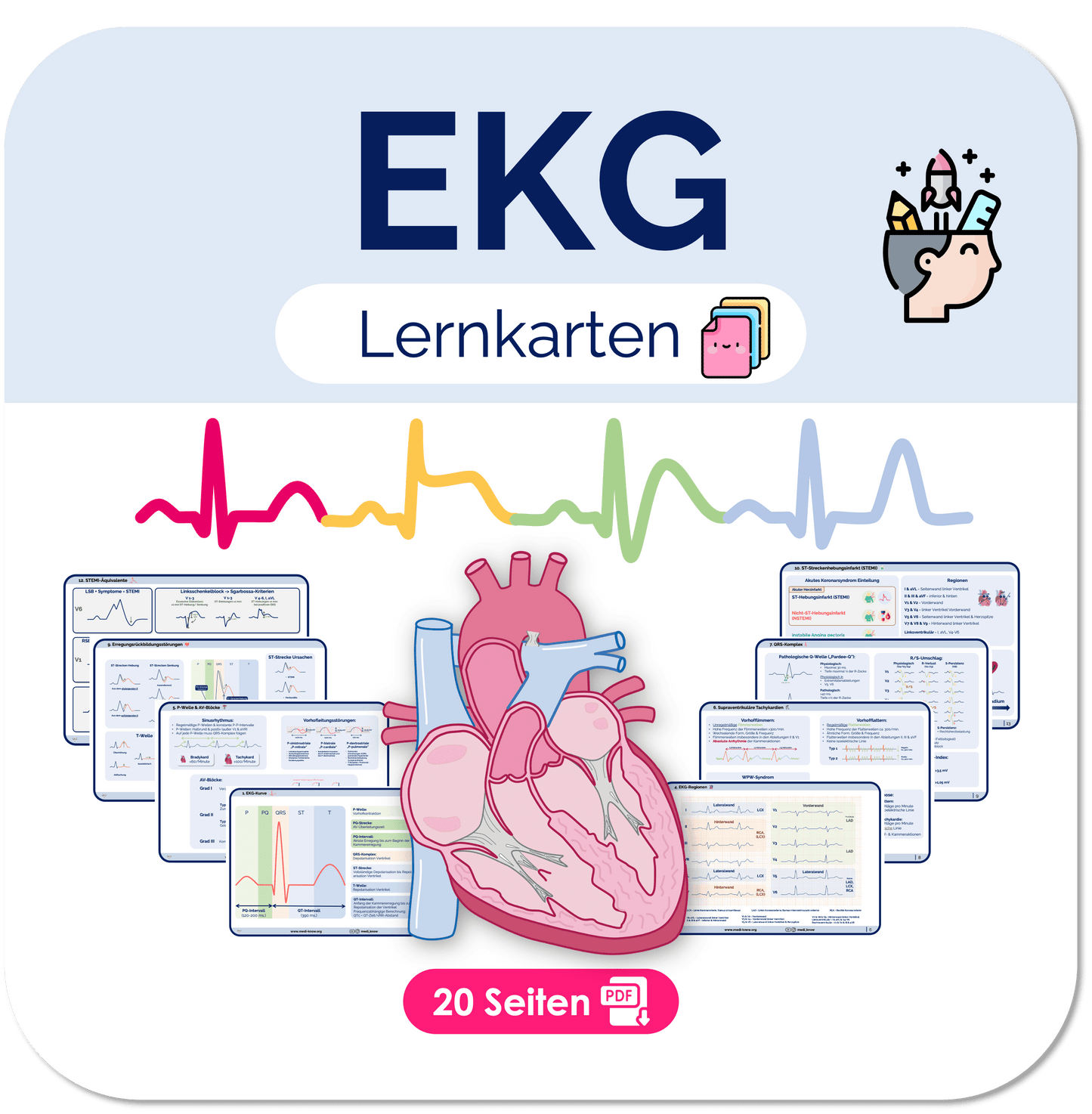 EKG-Lernkarten Übersichten Medi Know