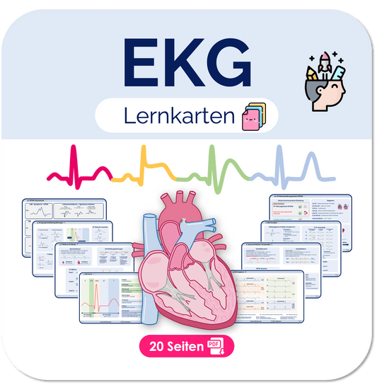 EKG-Lernkarten Übersichten Medi Know
