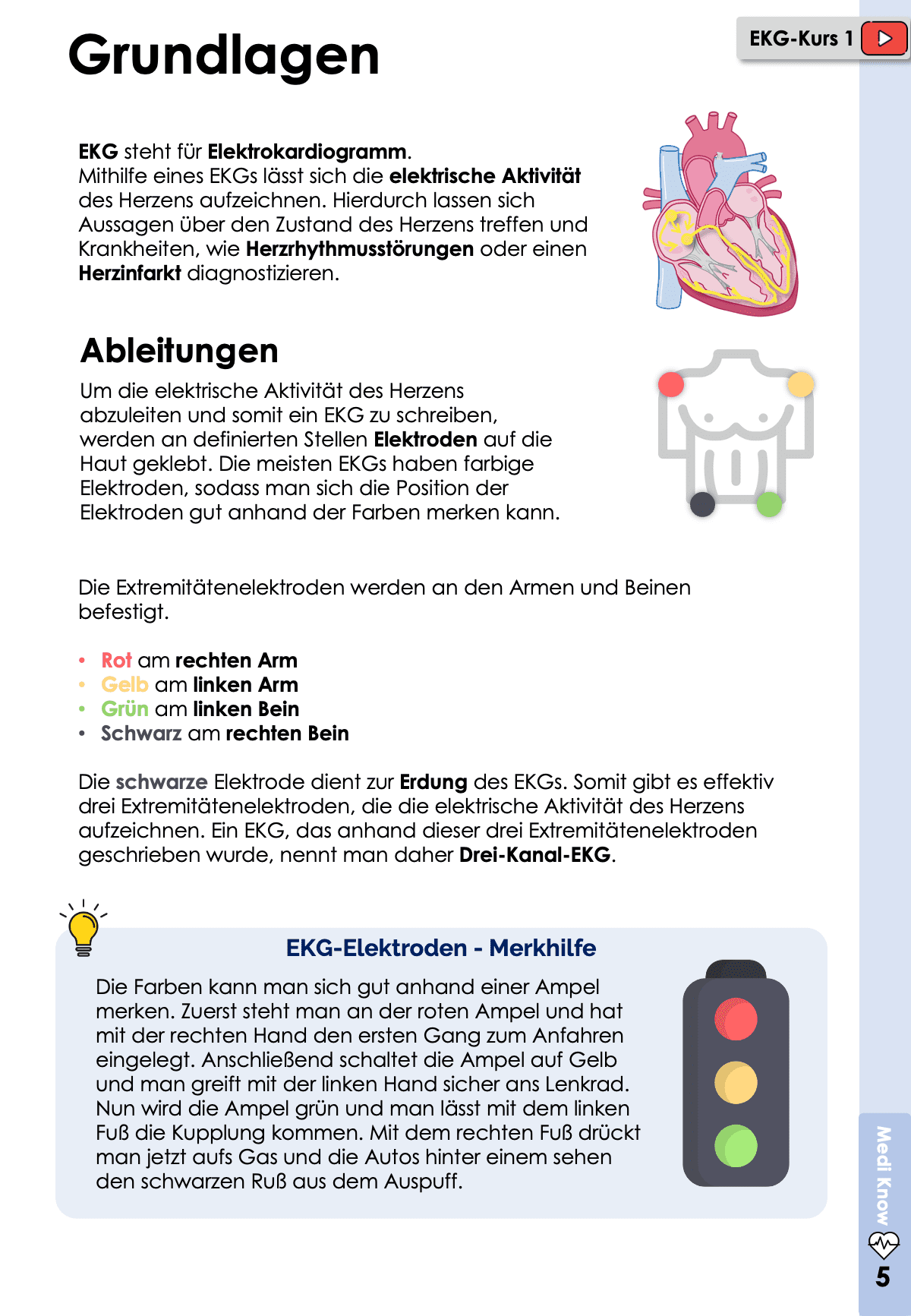 EKG-Premium-Paket (30% off) Skripte Medi Know