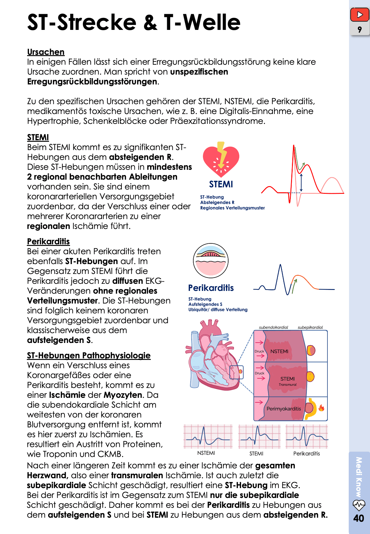 EKG-Premium-Paket (30% off) Skripte Medi Know