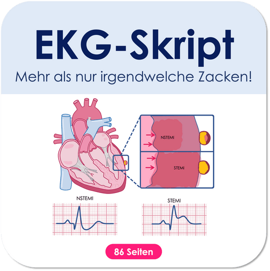 EKG-Skript Skript Medi Know