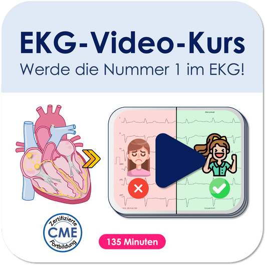 EKG-Video-Kurs (CME-zertifiziert) Video Medi Know 