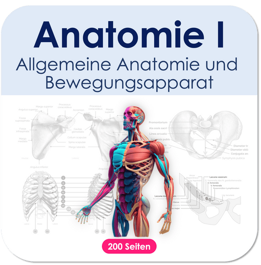 I. Anatomie - Allgemeine Anatomie und Bewegungsapparat Skript Medi Know 