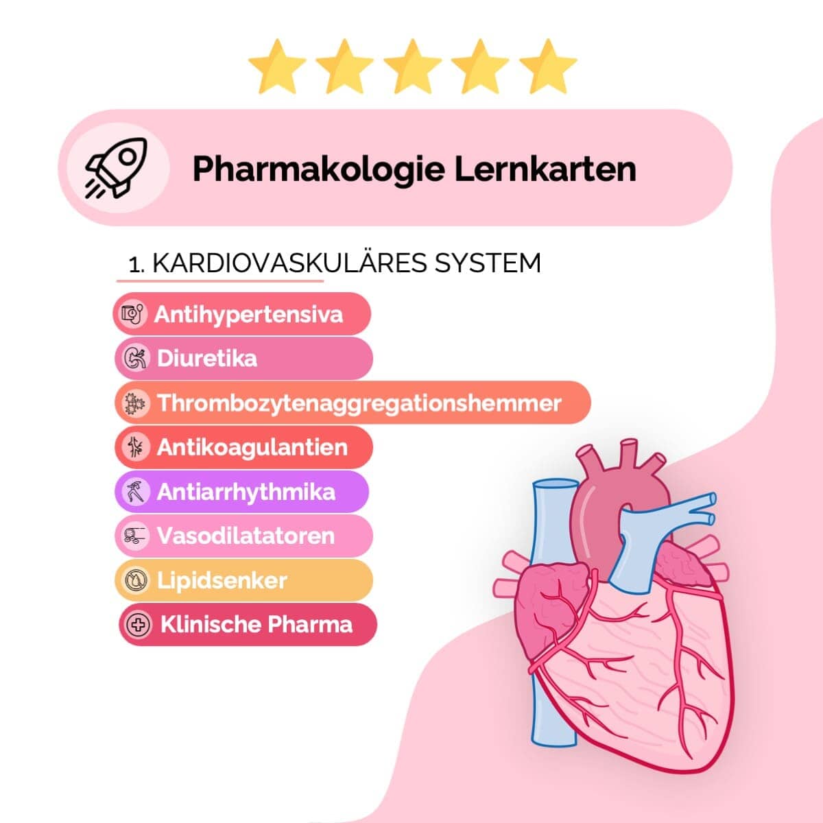 Kardiovaskuläres System – Pharma-Lernkarten Übersichten Medi Know 