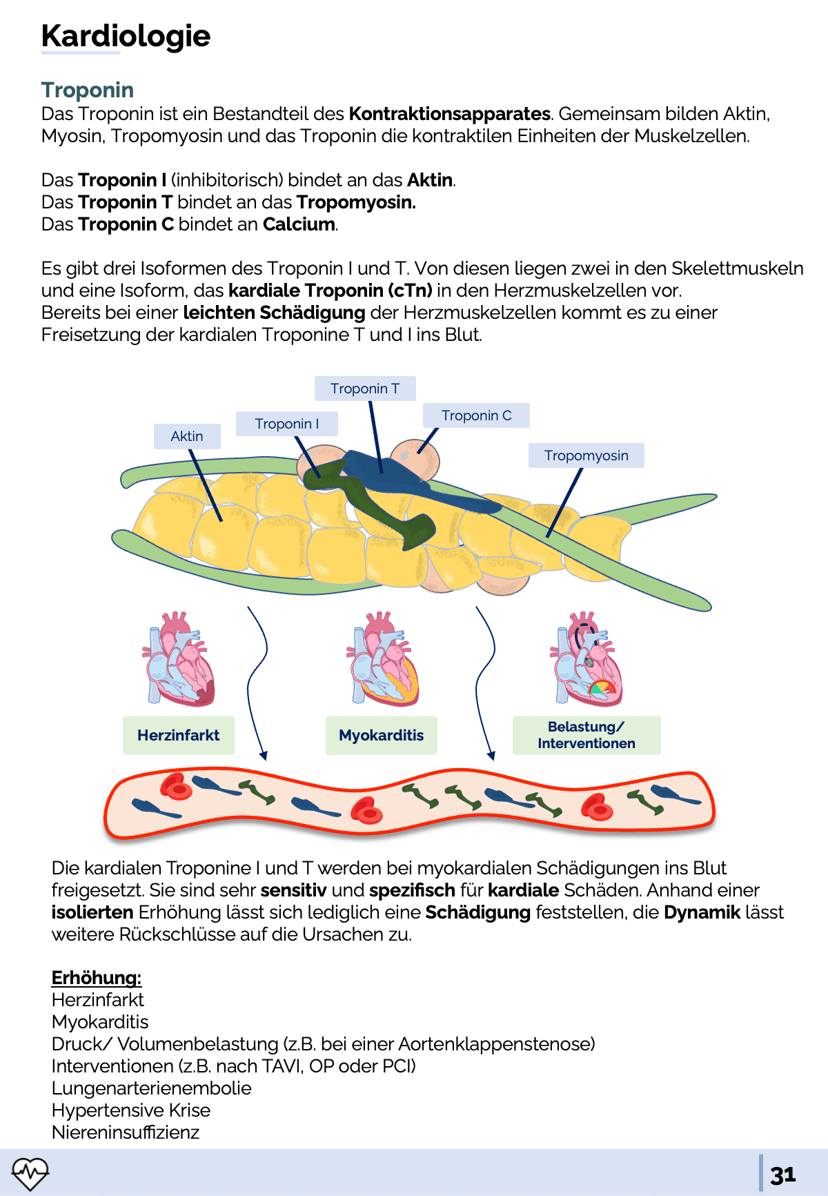 Labormedizin-Skript Skript Medi Know