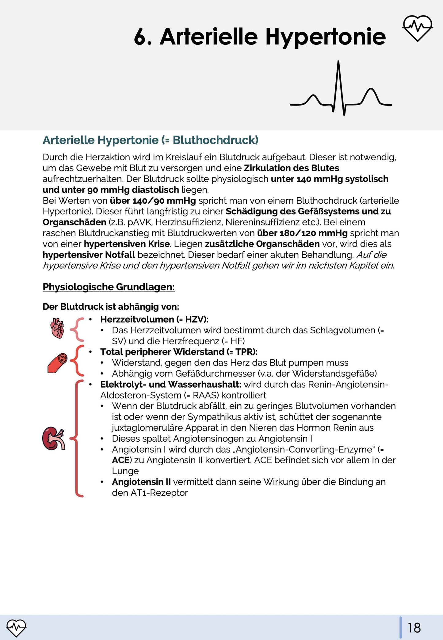 Leitfaden kardiovaskuläre Primärprävention Skript Medi Know