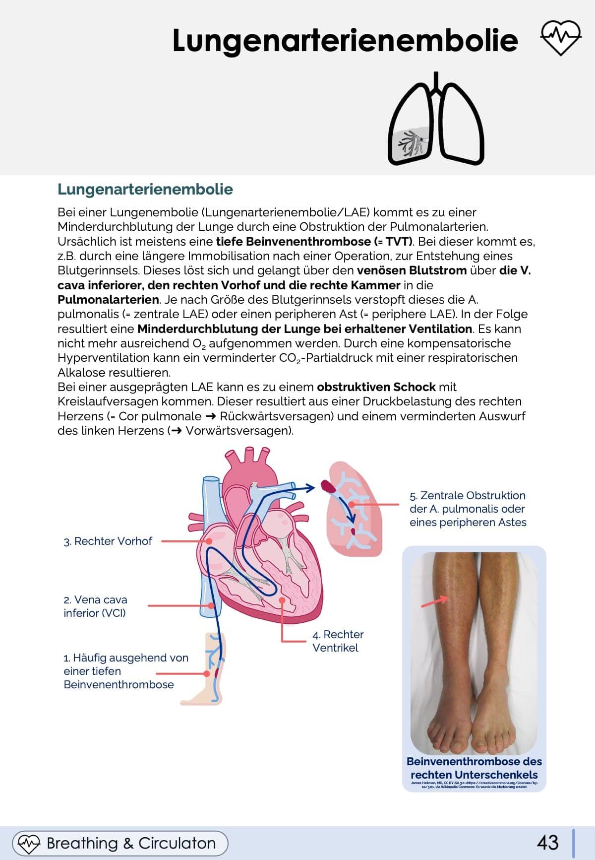 Notfallmedizin-Skript Skript Medi Know