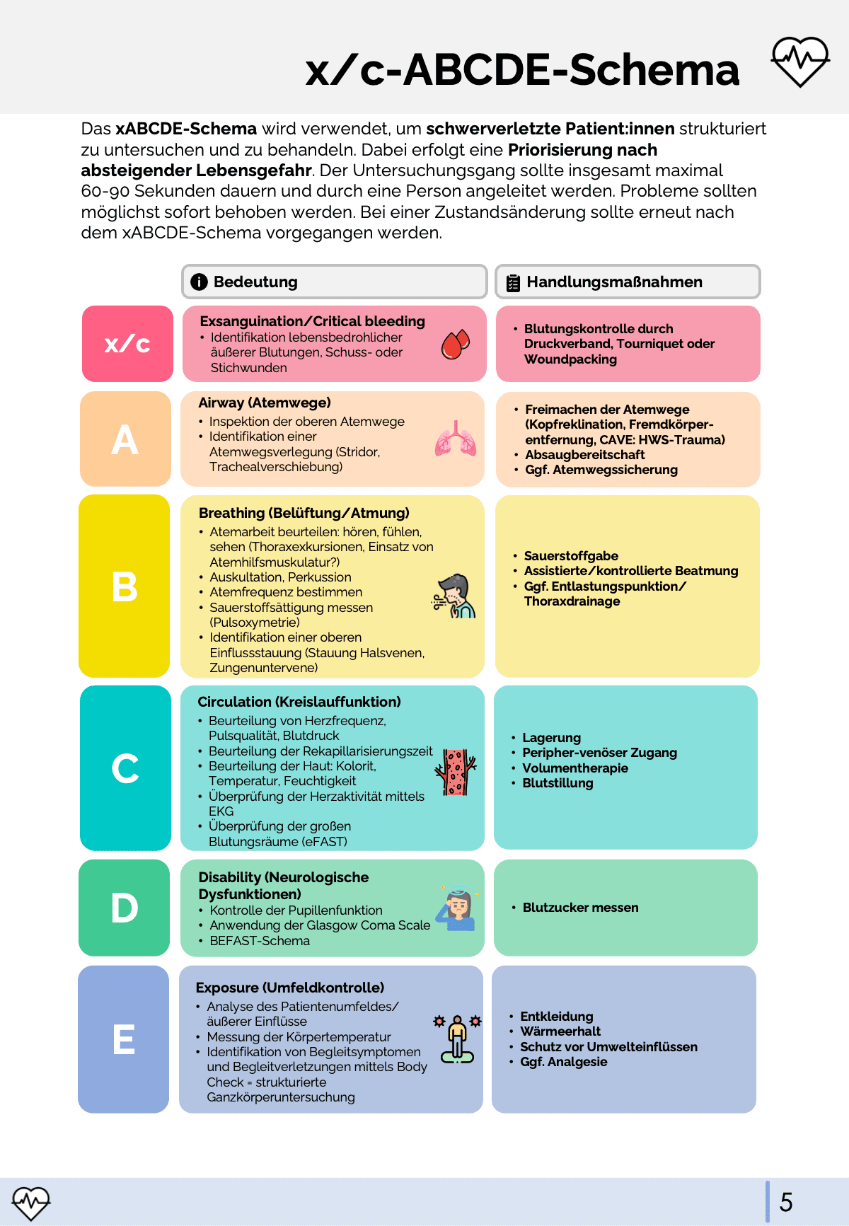 Schemata & Scores - Rettungsdienst & Klinik - Medi Know